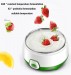 Automatic Yogurt Maker